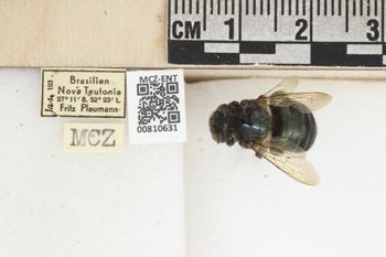 Media type: image;   Entomology 810631 Aspect: labels